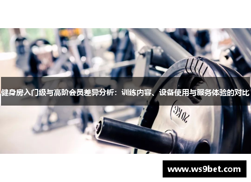 健身房入门级与高阶会员差异分析：训练内容、设备使用与服务体验的对比