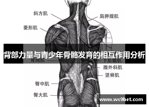 背部力量与青少年骨骼发育的相互作用分析